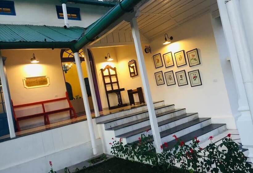 בית מלון כפרי Pine Retreat