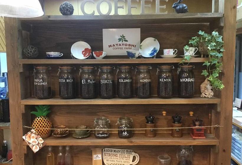Matayoshi Coffee Farm
