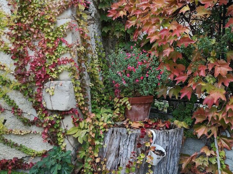 ペンション Mon Petit Soulié