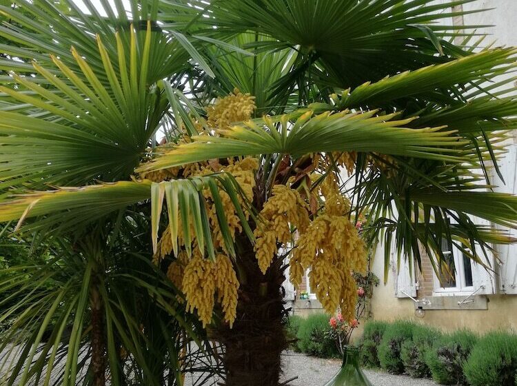 ペンション Mon Petit Soulié