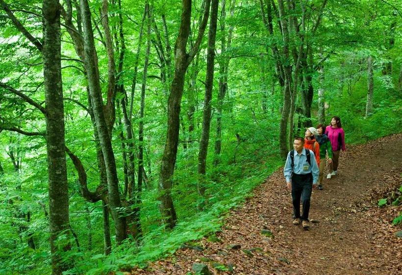 ريوكان Bunano Sato Shirakamikan