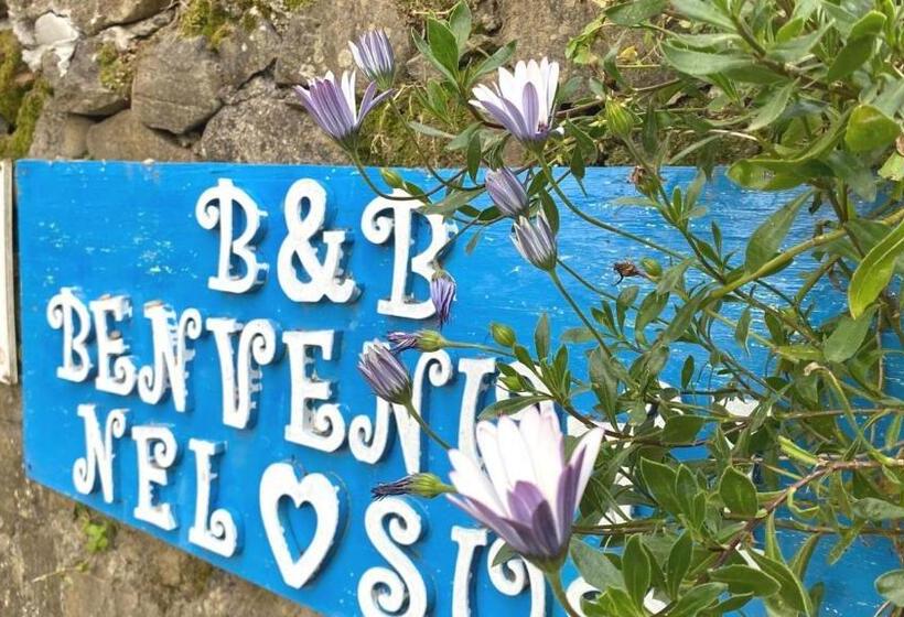 ベッドアンドブレックファースト Benvenuti Nel Sud