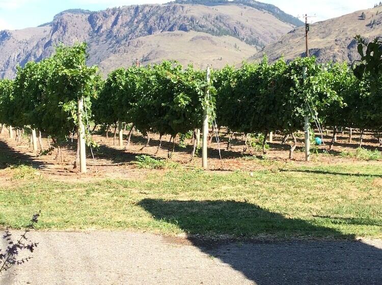 تختخواب و صبحانه Crowsnest Vineyards Guesthouse
