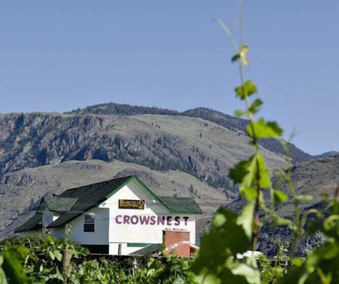 تختخواب و صبحانه Crowsnest Vineyards Guesthouse
