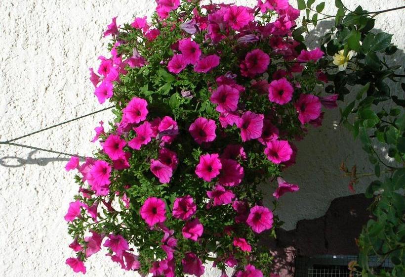 צימר Ferme Auberge à La Colline