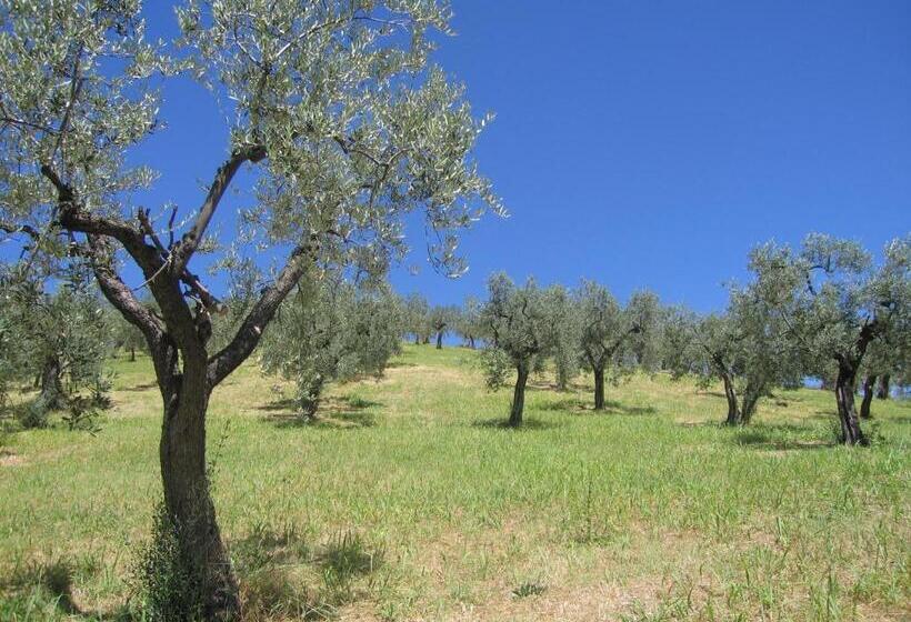 مبيت وإفطار Il Sorriso Dei Monti