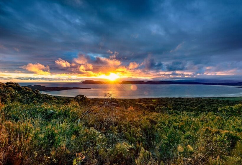 Cloudy Bay Cabin