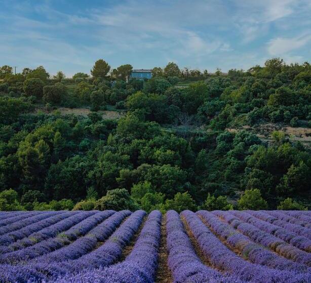 Domaine Ribiera, Hotel 5 Etoiles, Spa & Golf   Forcalquier