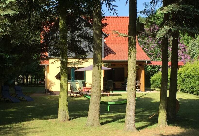 Ferienhaus Mirow Lärz   Kamin Wald Ruhe