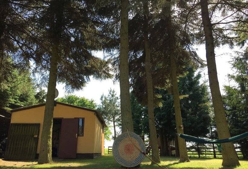 Ferienhaus Mirow Lärz   Kamin Wald Ruhe