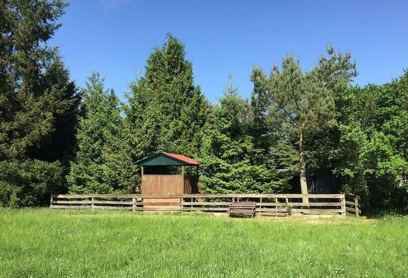 Ferienhaus Mirow Lärz   Kamin Wald Ruhe
