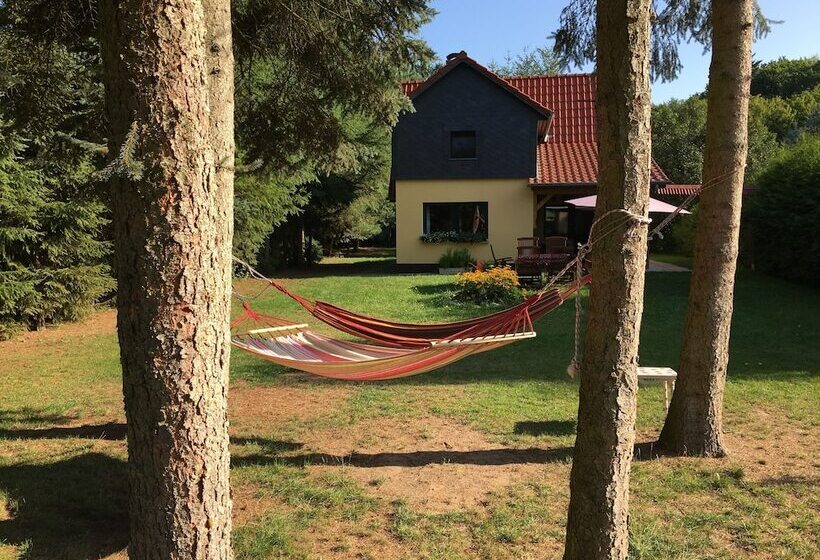 Ferienhaus Mirow Lärz   Kamin Wald Ruhe