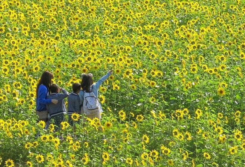 فندق Avan Sukumo