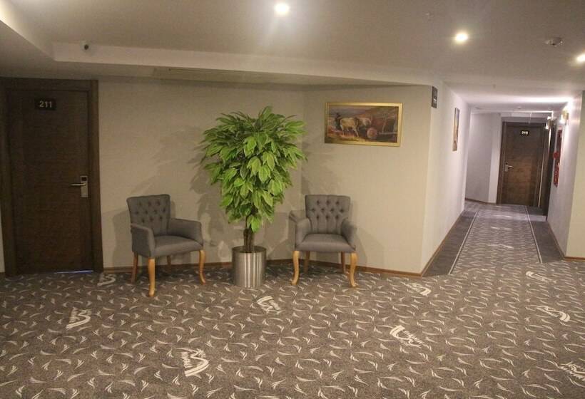 فندق Minerva Pazar