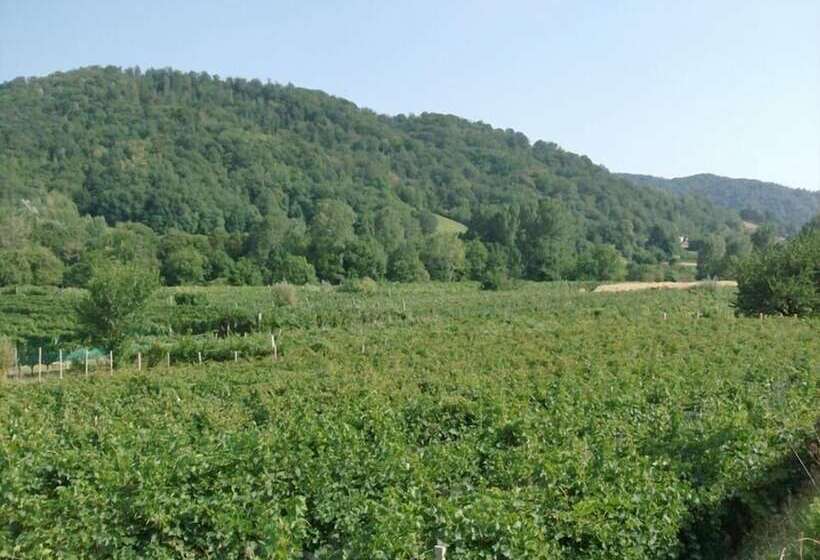 בית מלון כפרי Agriturismo Bressani