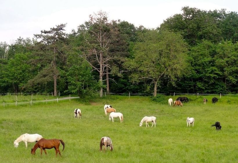 교외 호텔 Ranch Du Bel Air
