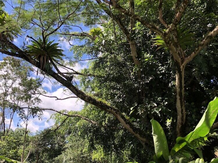 בית מלון כפרי Santa Maria Volcano Lodge