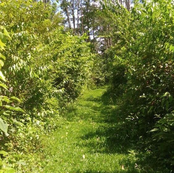 בית מלון כפרי Santa Maria Volcano Lodge