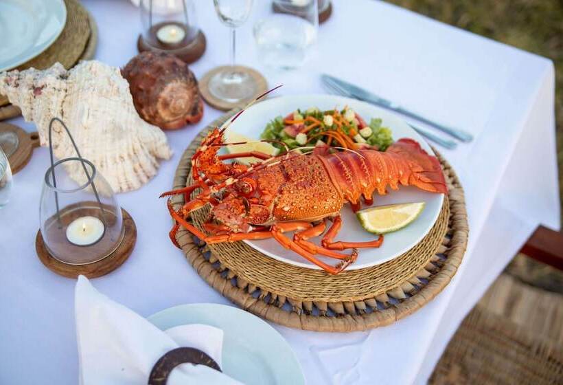 هتل Travessia Beach Lodge