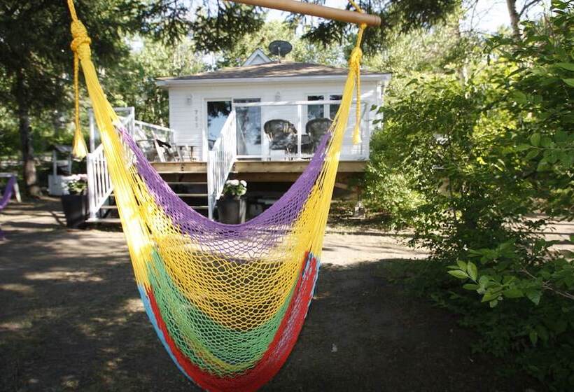 Lakefront Cottage In Manitou Beach