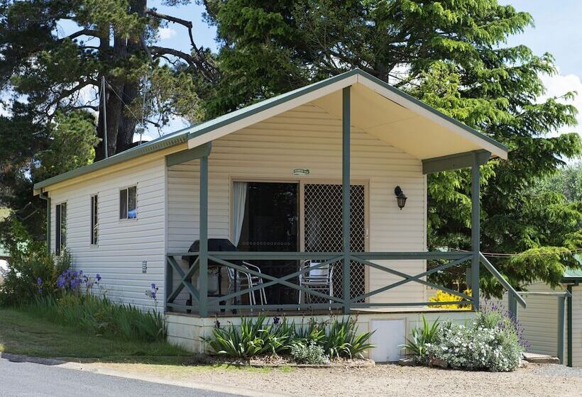 리조트 Rainbow Pines Tourist Caravan Park