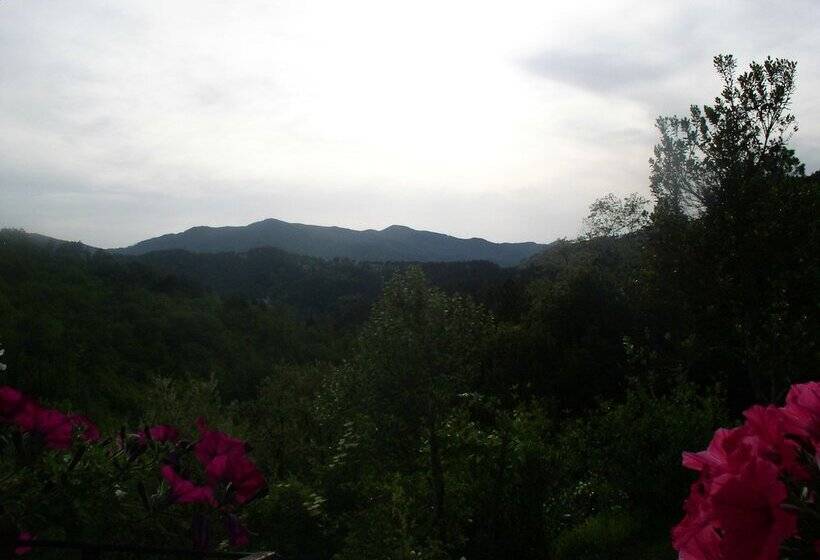 B&b Il Tulipano