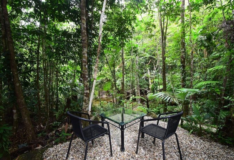 Daintree Cascades