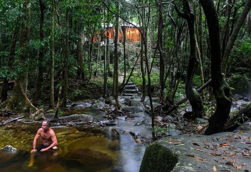 Daintree Cascades