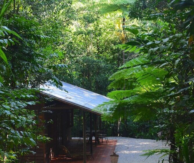 Daintree Cascades