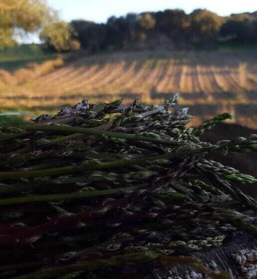 هتل Agriturismo Muzzu