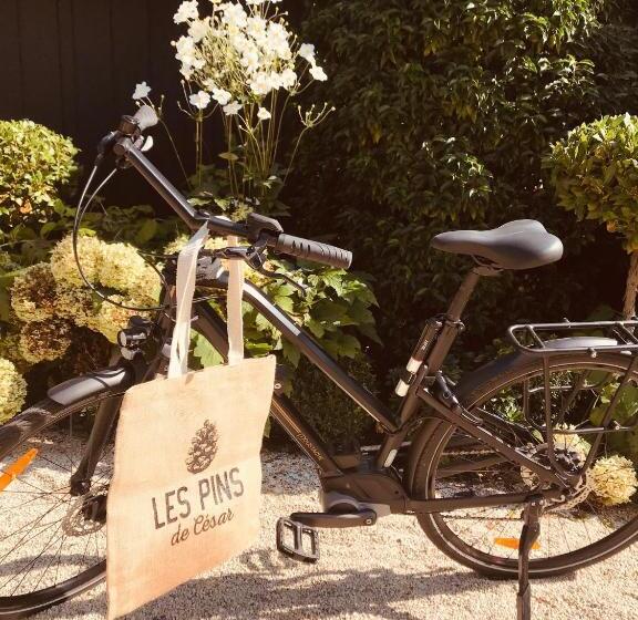 هتل Les Pins De Cesar  La Campagne D Etretat