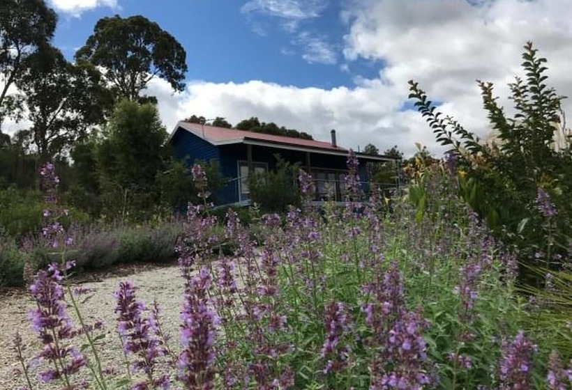 Outlook Hill Vineyard Cottages