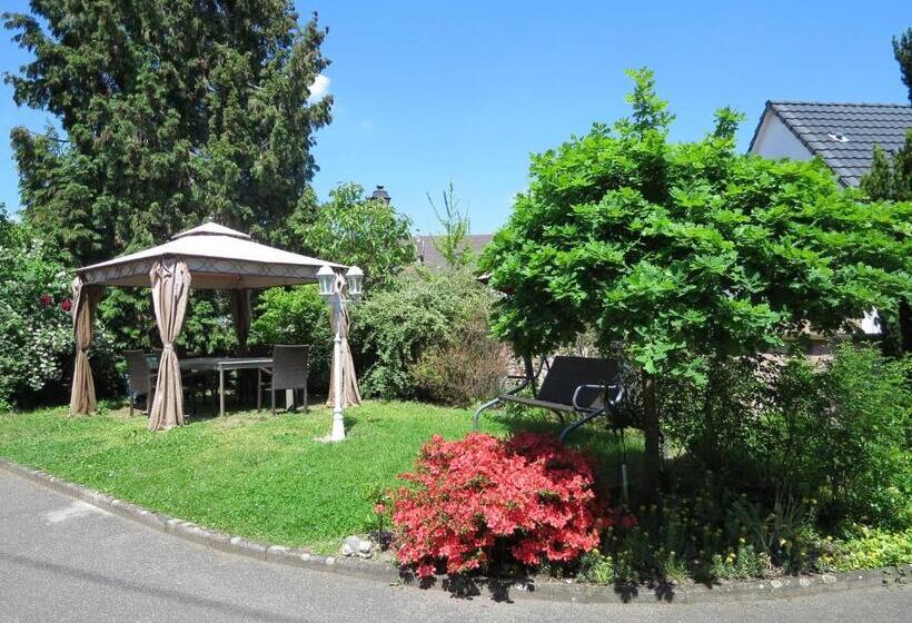 بنسيون Appartement T3 Aux Deux Cigognes Gries