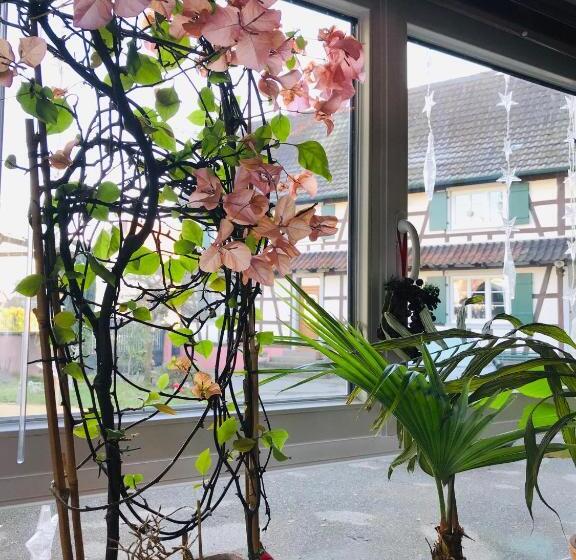 פנסיון Appartement T3 Aux Deux Cigognes Gries