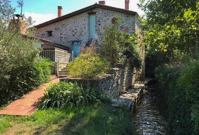 بنسيون Chambre D Hôtes Du Moulin De La Passere