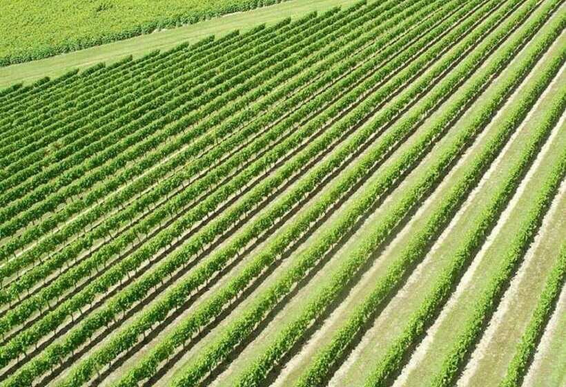 Пансион Domaine Du Grand Tourtre