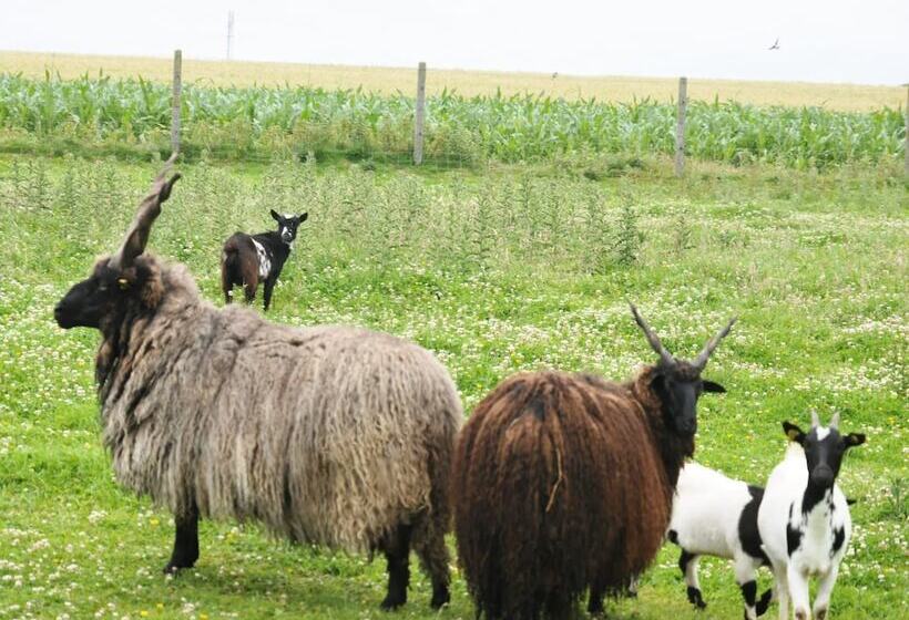 پانسیون Le Domaine Des Platanes