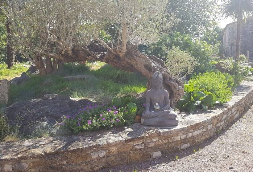 بنسيون Le Patronage