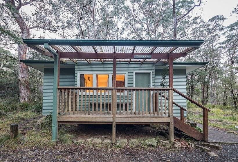 Toms Cabin