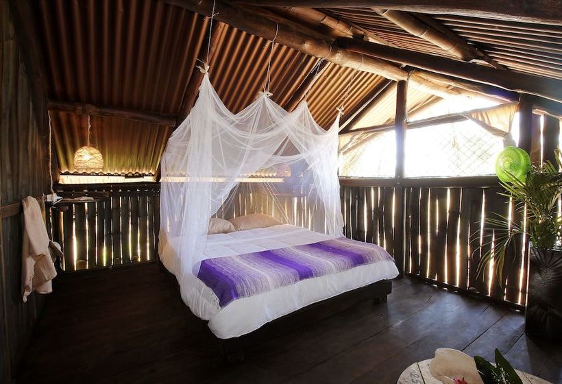 فندق صغير Barba Negra Lodge