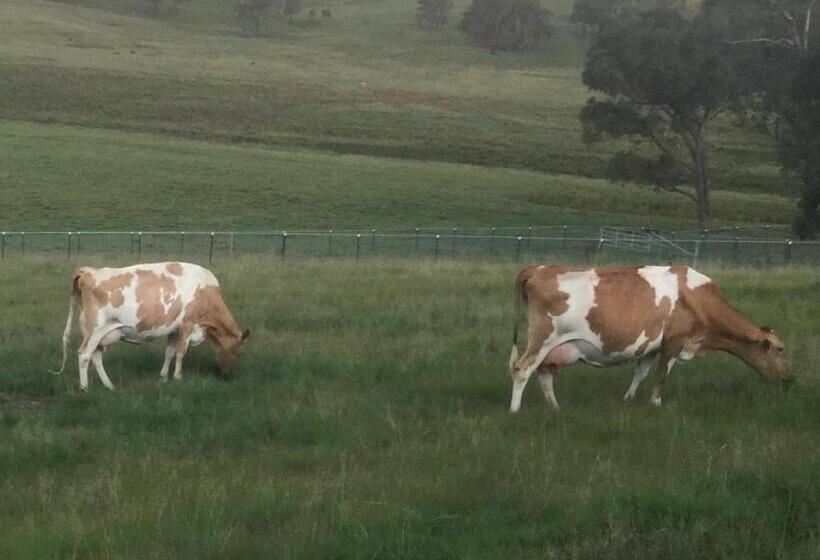 住宿加早餐  Donegal Farmstay