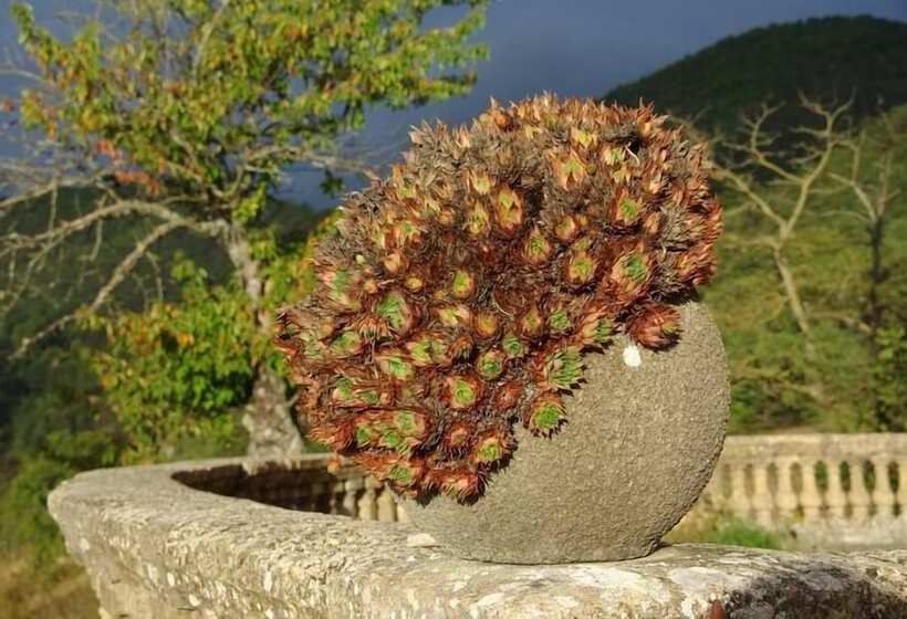 مبيت وإفطار La Villa Du Collet