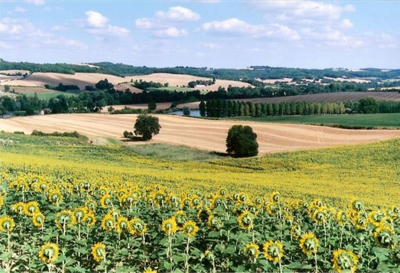 住宿加早餐  Les Celtes De Gascogne