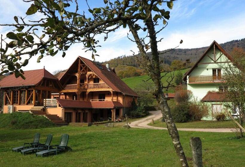 Bed and Breakfast Maison D Hôtes La Cerisaie