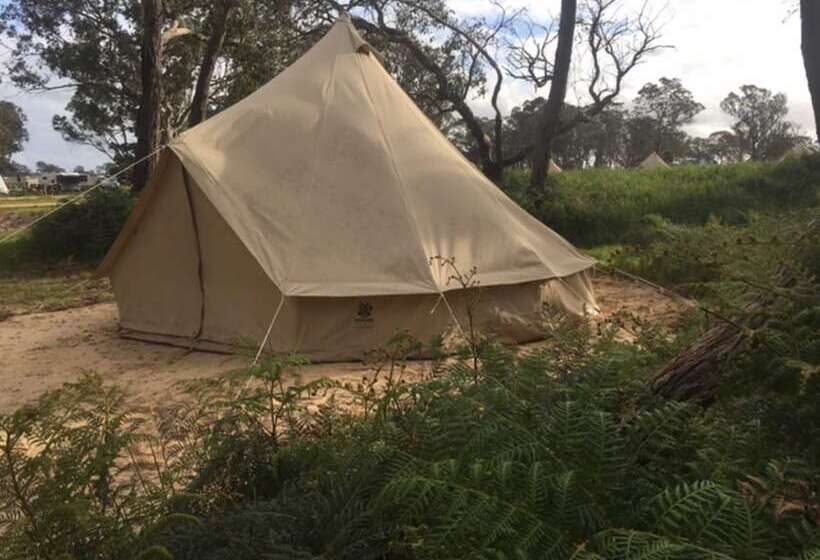 בית מלון כפרי Coonawarra Bush Holiday Park