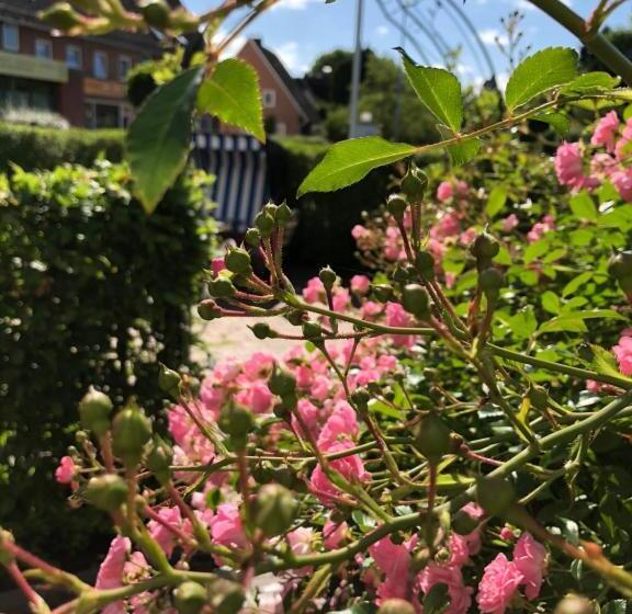 בית מלון כפרי Klausdorfer Hof