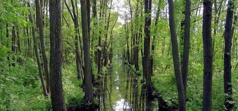 בית מלון כפרי Märkischheide Gmbh