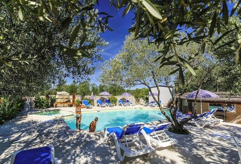 酒店 Olive Garden Camp Resort