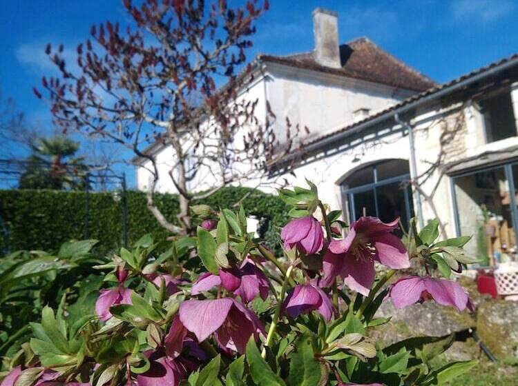 膳宿费 Domaine De Puytirel