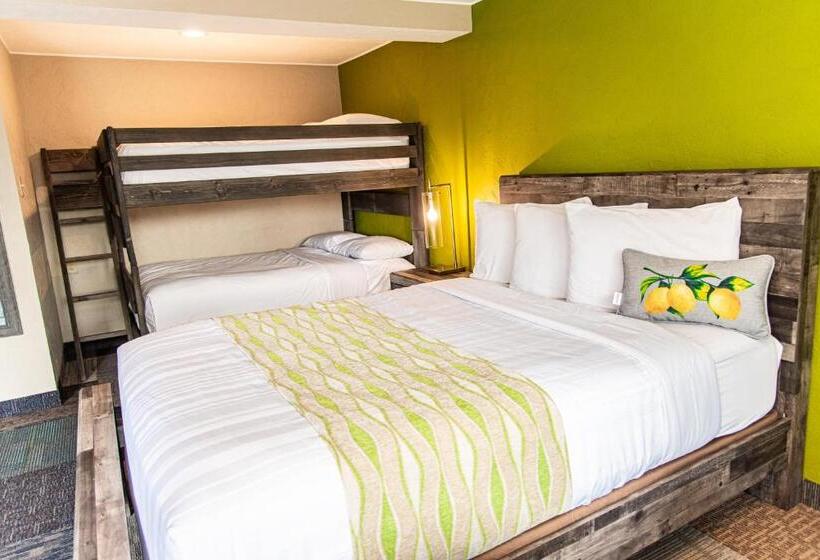 هتل American Classic Inn